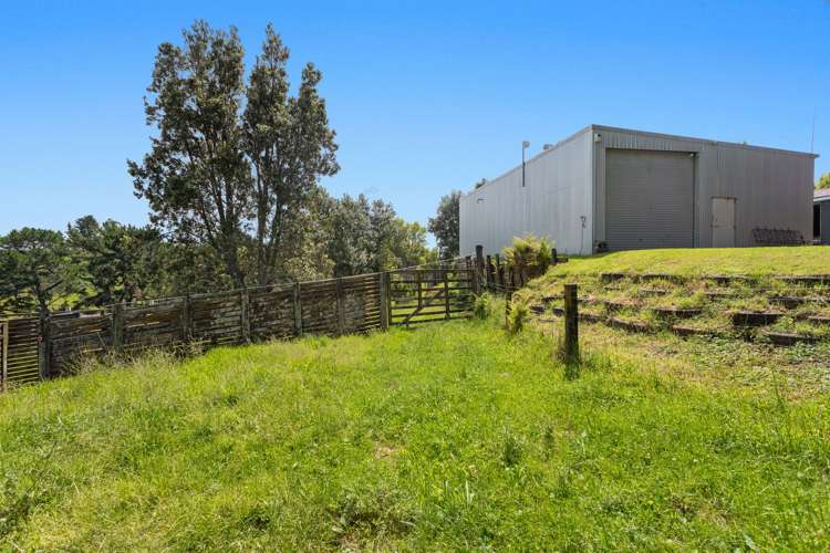 75 Ohiwa Loop Road Opotiki and Surrounds_24