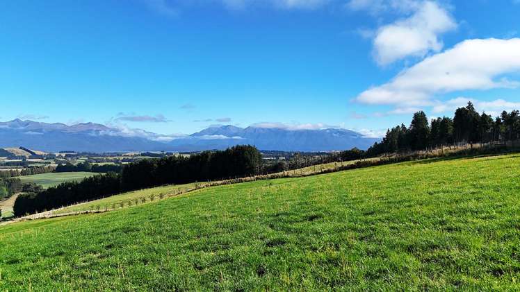 126 Ridgedale Road_5