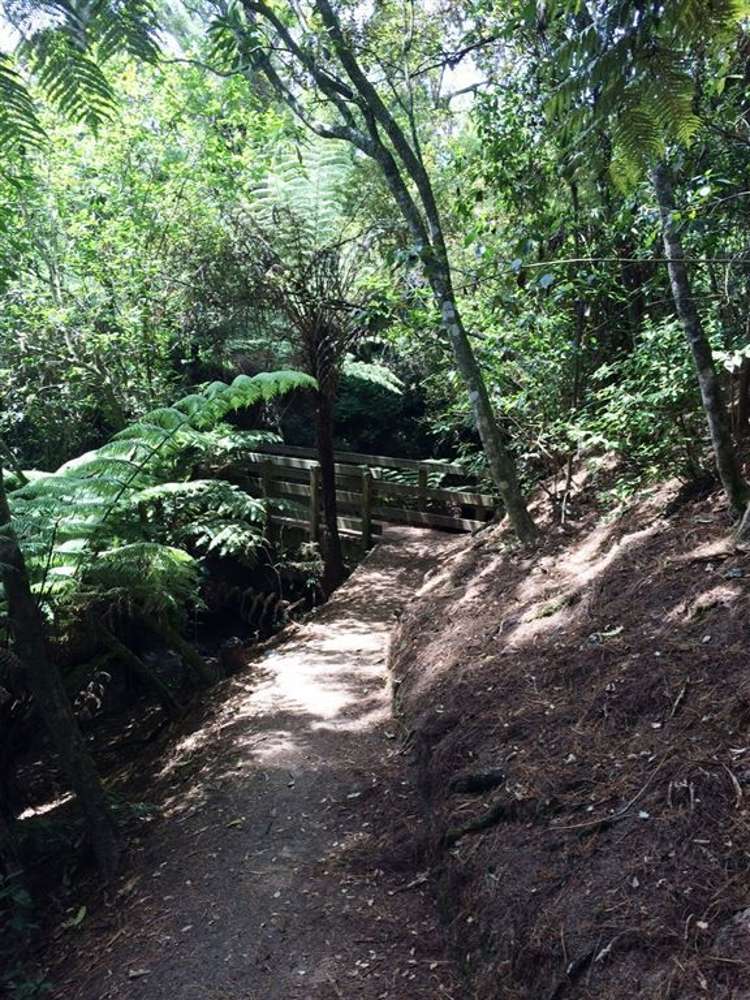 35 Melba Street Beach Haven_29