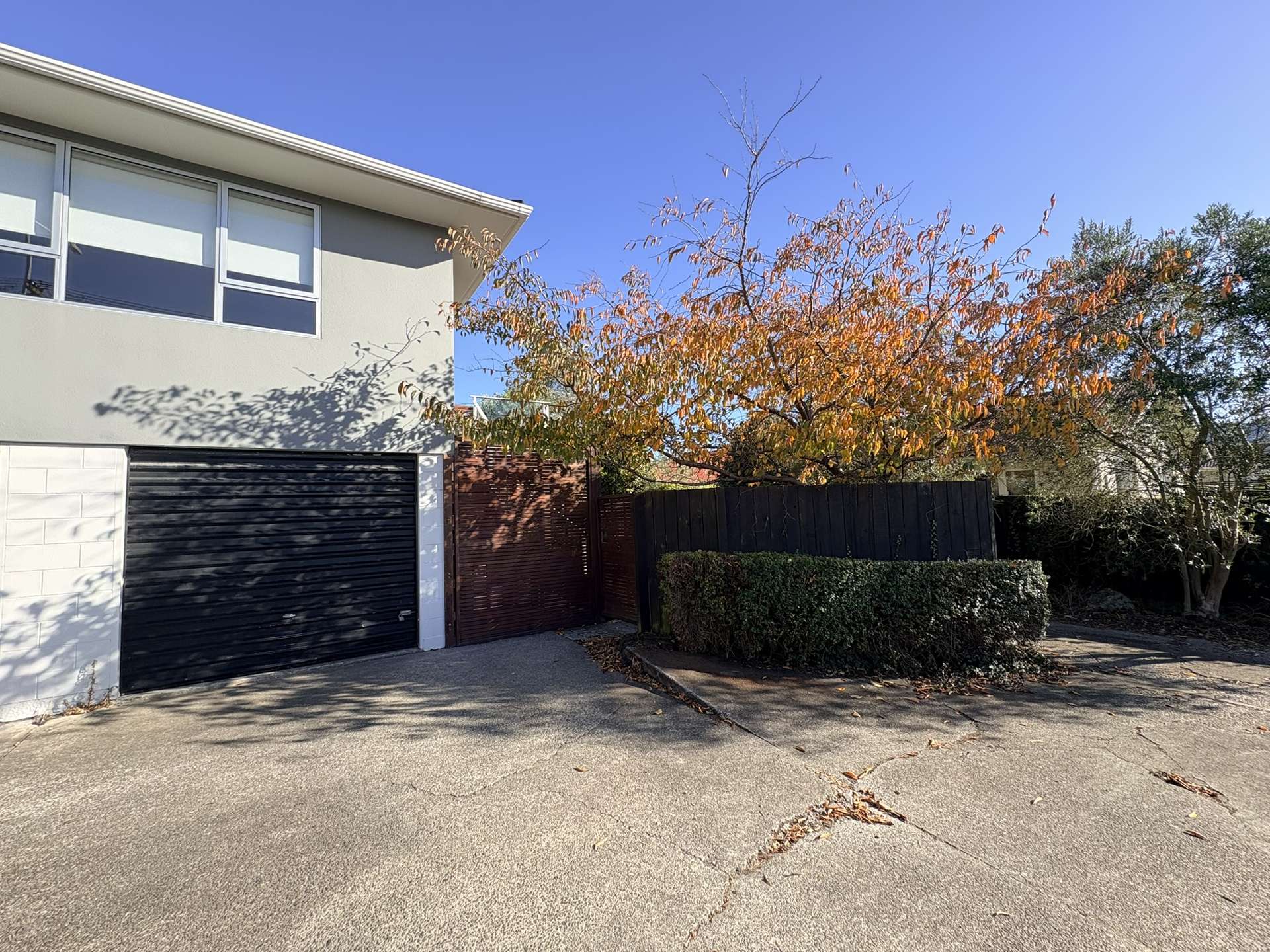 5/125 Geraldine Street Edgeware_0