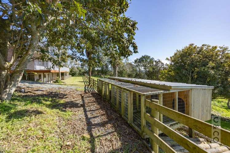 46 Potter Road Dairy Flat_65