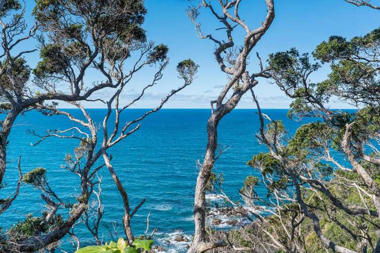 49 Dolphin Place Tutukaka_19