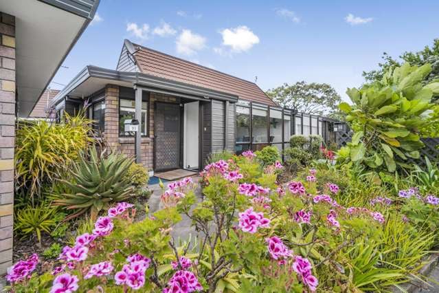 Easy-Care Home in the Heart of Petone