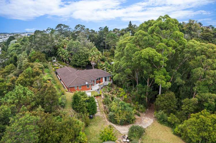 190d Lonely Track Road Dairy Flat_10