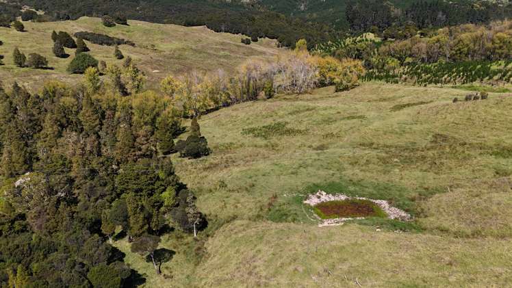 46 Buchanan Road Broadwood_7