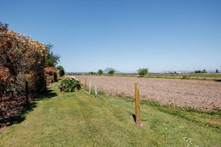408a Awakeri Road Edgecumbe_44