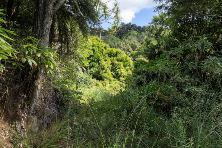 787 West Coast Road Oratia_10