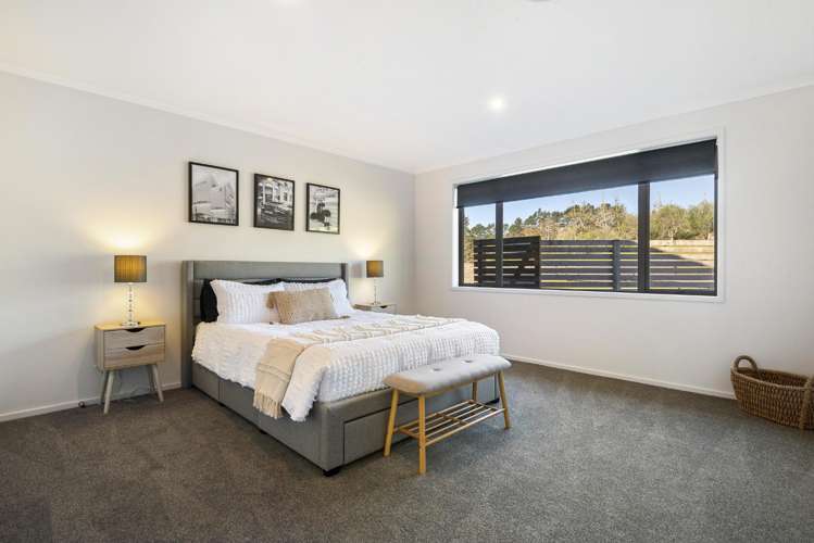 253 Horseshoe Bush Road Dairy Flat_27