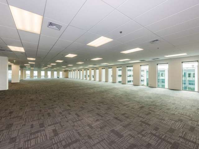 16 Normanby Road Mount Eden_3