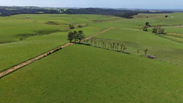 518 Mangakaretu Road Kerikeri_3