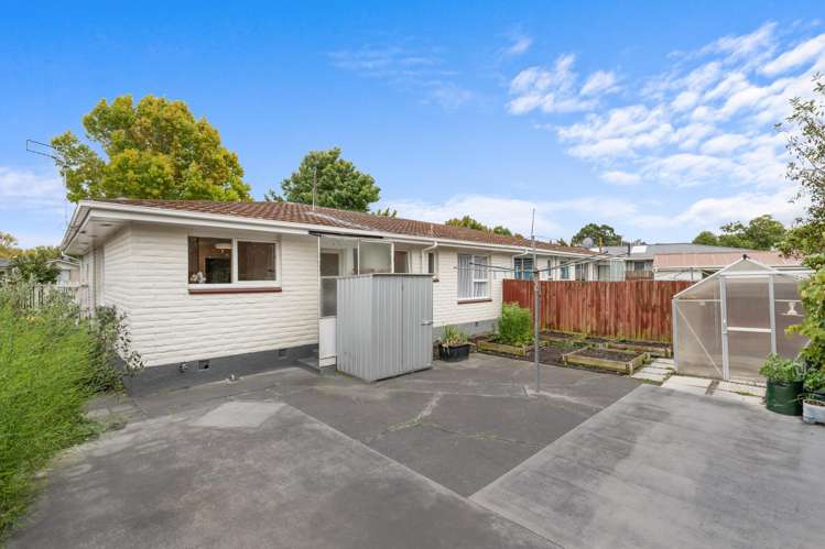 1/6 Valerie Place Redwood_14