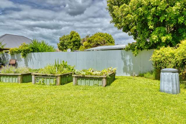 123 Nuffield Avenue Marewa_3