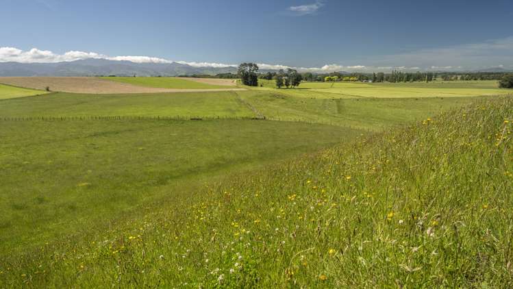 43 Taumata Island Road Carterton_5