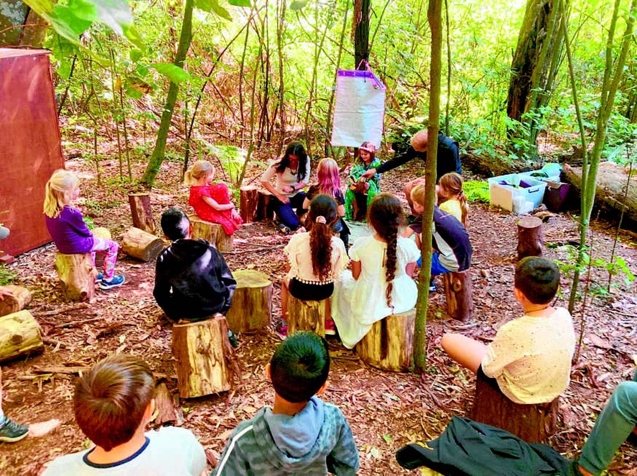 Pupils grow in bush classroom