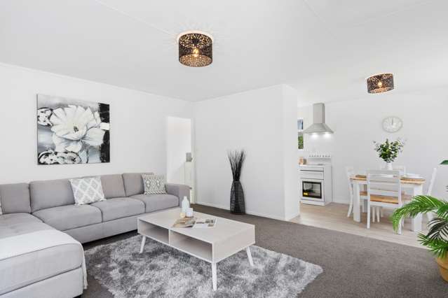347b Maunganui Road Mount Maunganui_3