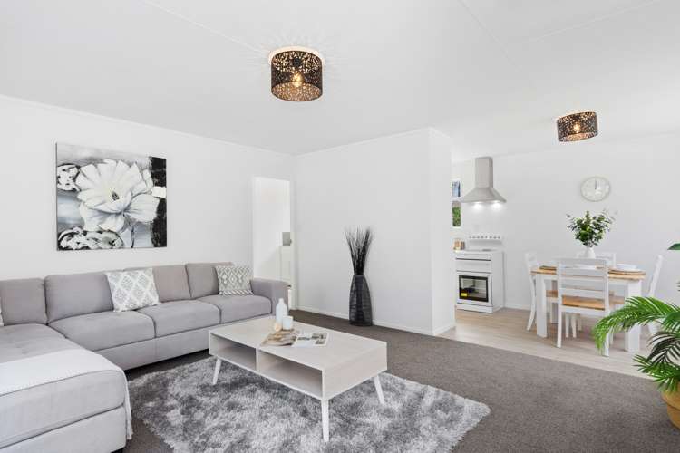 347b Maunganui Road Mount Maunganui_3