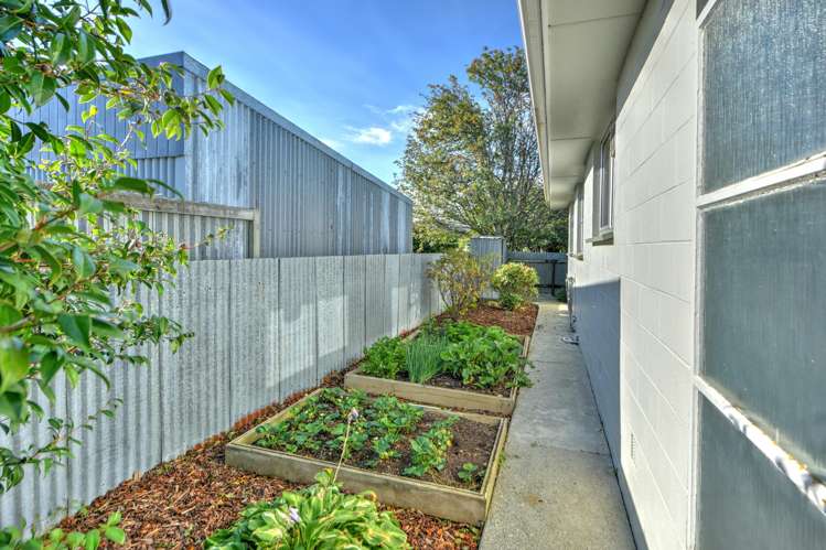 6A Milton Street Gore_16