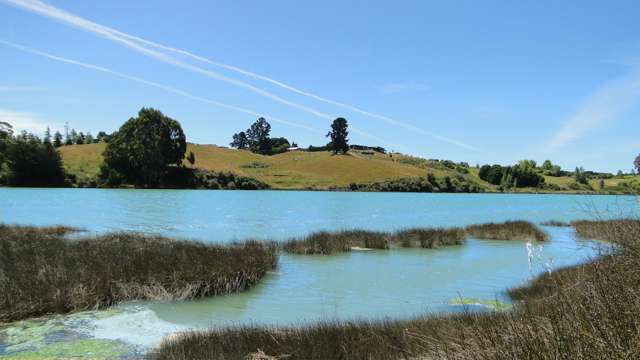 50 Pukeko Lane Redwood Valley_4