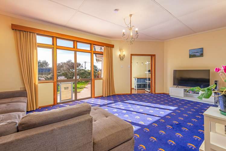 33 Daniell Street Bulls_3