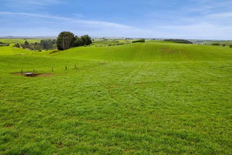 2A Ropata Street Hawera_8