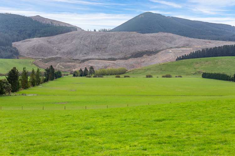 Wairiri Road Glentunnel_12
