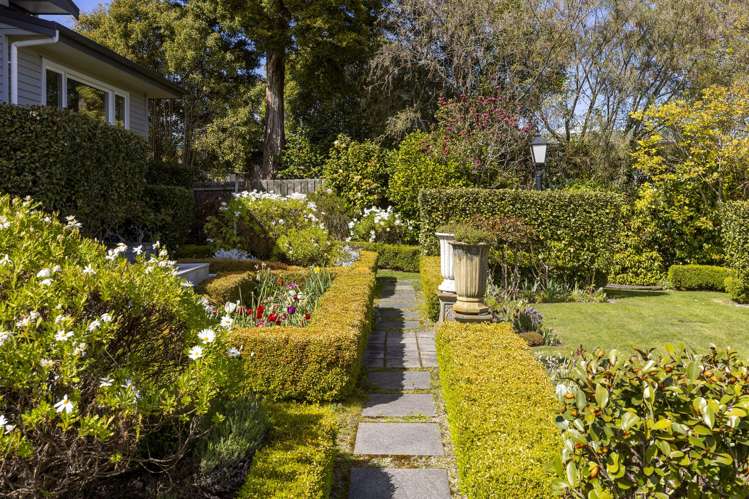 86 Rokino Road Hilltop_22