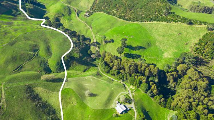 Coates Road Waikite Valley_14