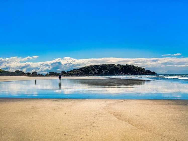 55 Marine Parade Mt Maunganui_25