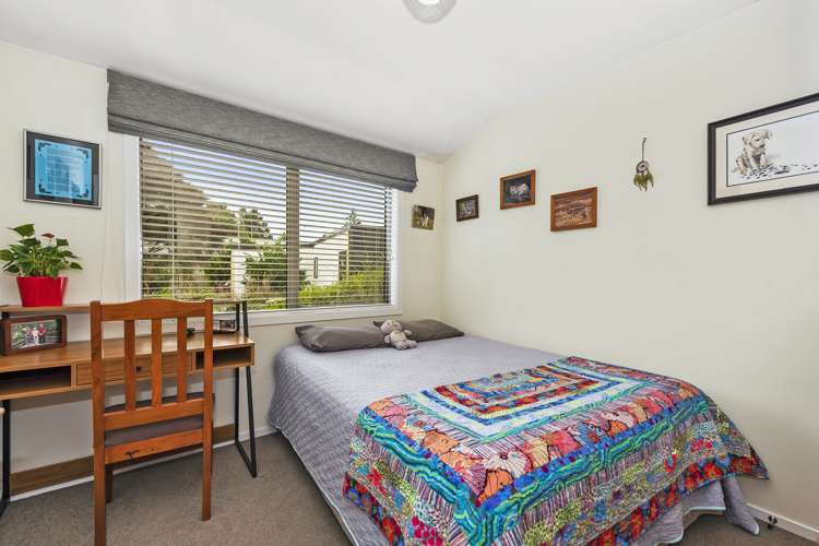 18a Donny Avenue Chartwell_9