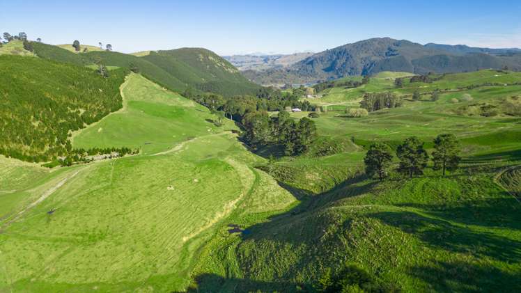 Coates Road Waikite Valley_9