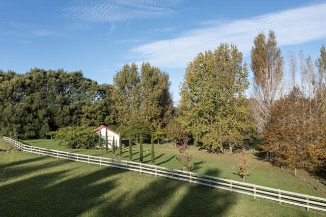 55 Three Oaks Drive Dairy Flat_3