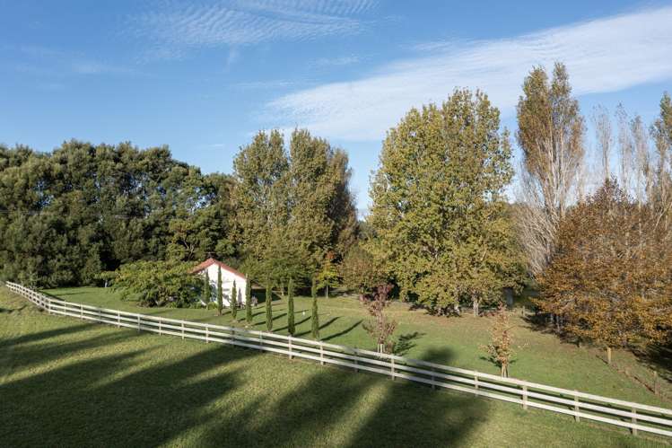 55 Three Oaks Drive Dairy Flat_3