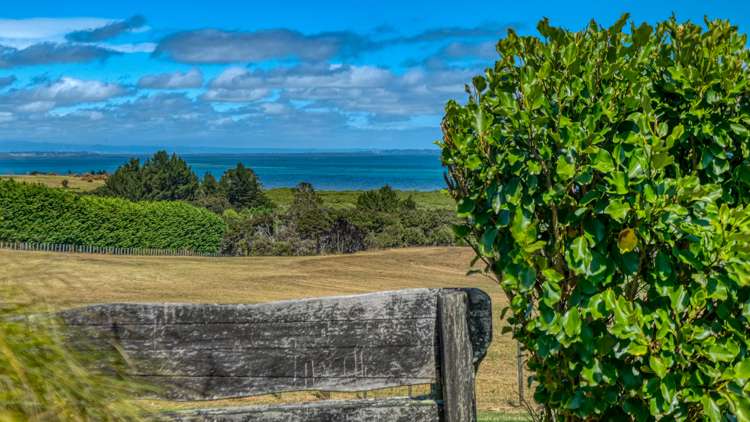 353 Rangiputa Road Karikari Peninsula_85