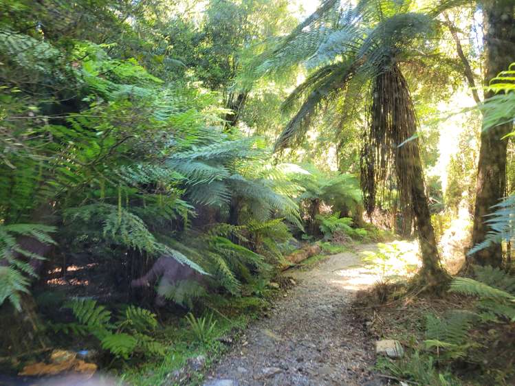 254 Doughboy Road Kokatahi_45