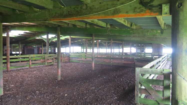 291 Mahoe Road Waitomo_15