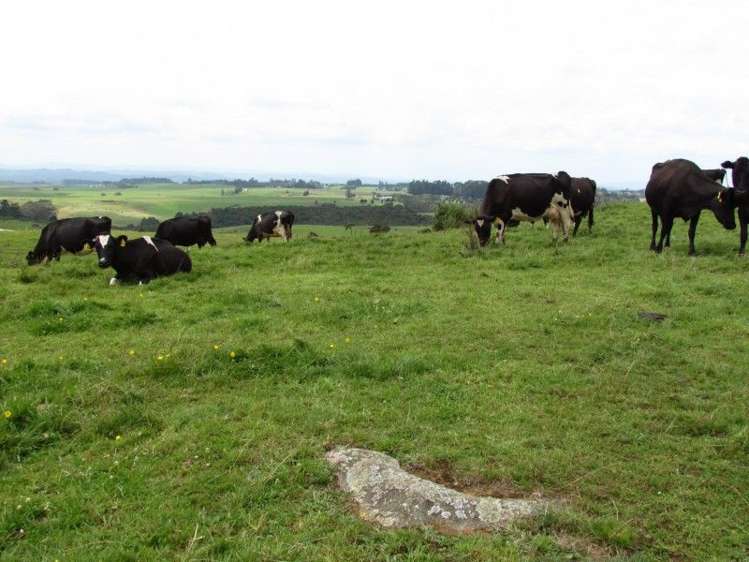 1726 Waiare Road Okaihau_12