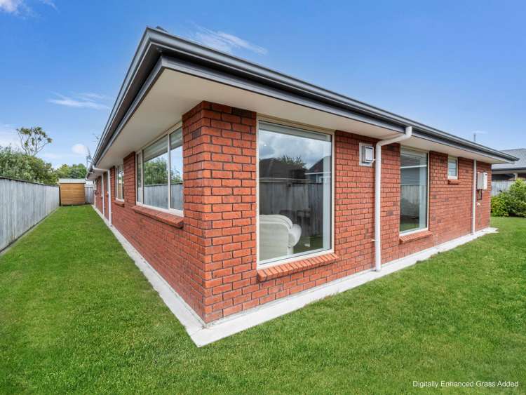 8A Vernon Avenue Takaro_6