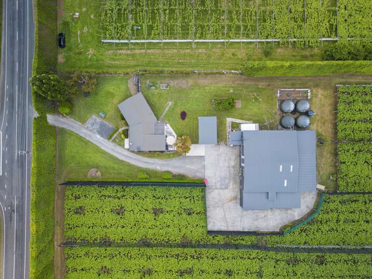 151 Beach Road Katikati_16