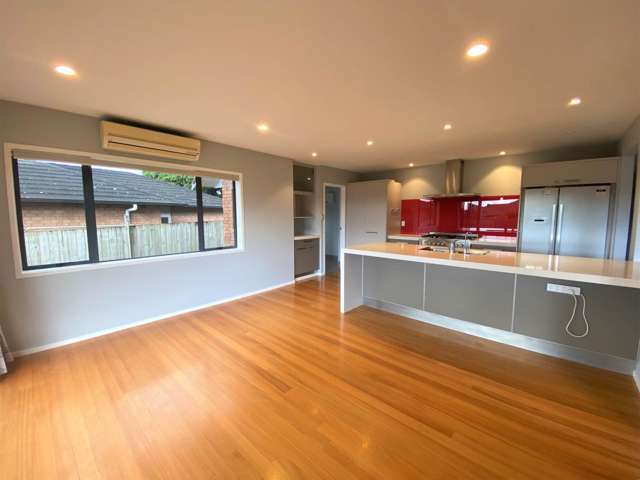 107 Kitchener Road Pukekohe_2