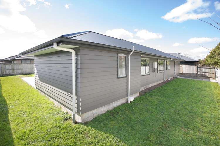 43 Wilson Street Bulls_18