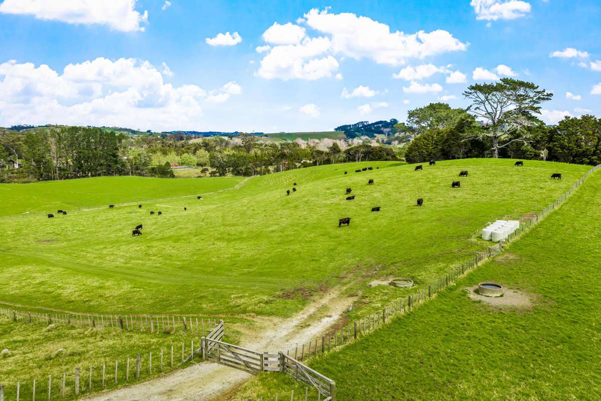 Quintal Farm_3