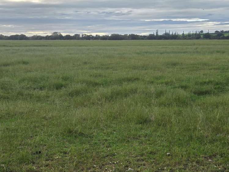 Alma-Maheno Road Maheno_11