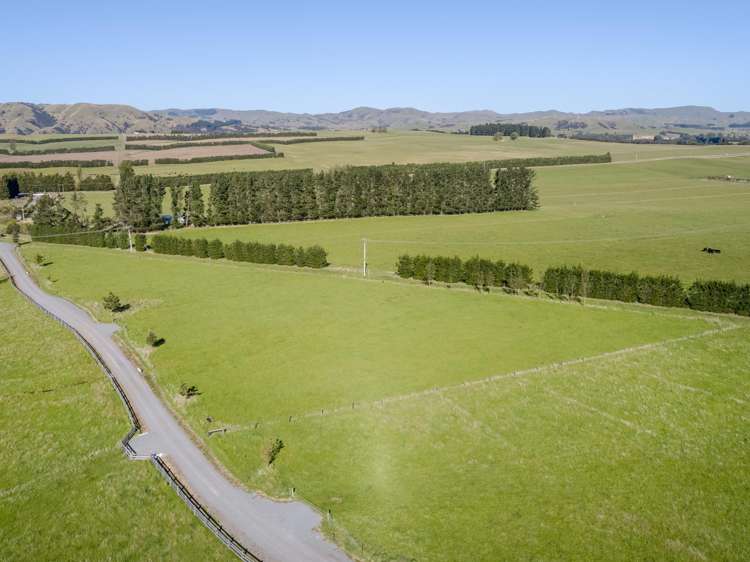 Phelps Way Morisons Bush_7