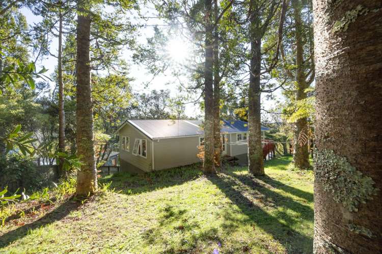 16 Daffodil Street Titirangi_16