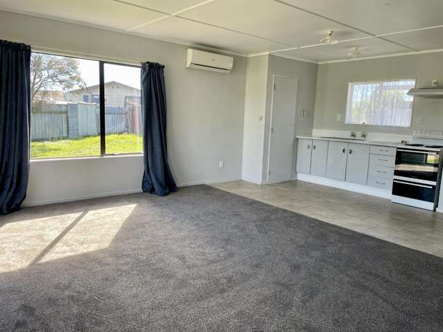 343B Flaxmere Avenue 10480_1