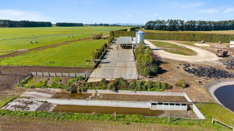 317 South Two Chain Road Dunsandel_15