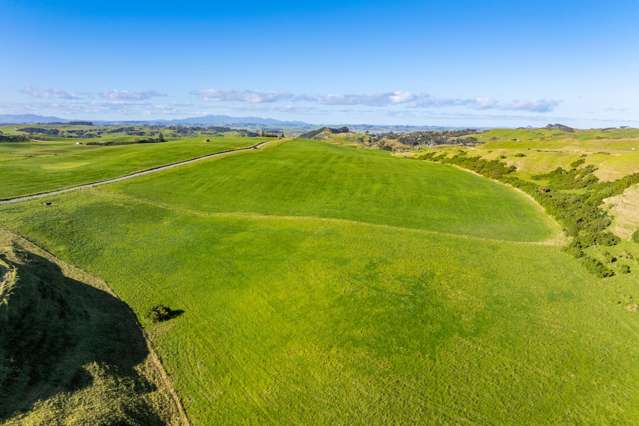 Lot 6 Mahuta Road Dargaville_2