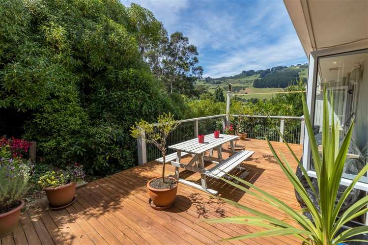 10 Mclelland Street Macandrew Bay_27