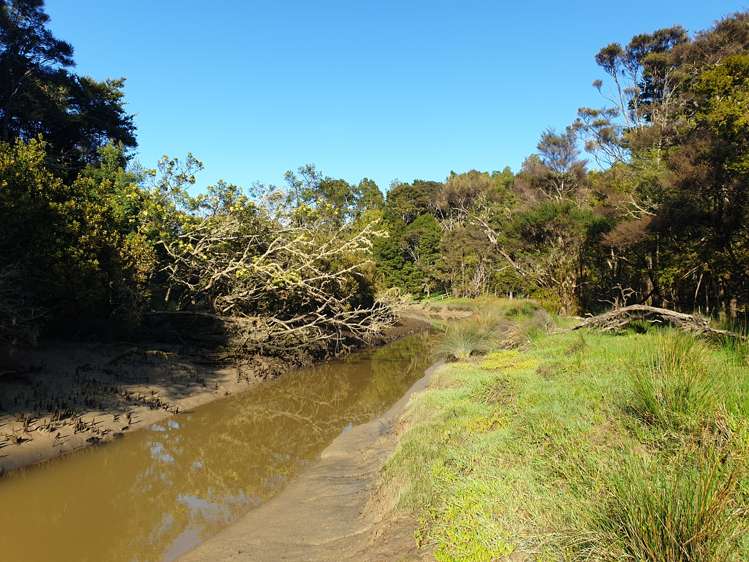 Sterling Road Paparoa_1