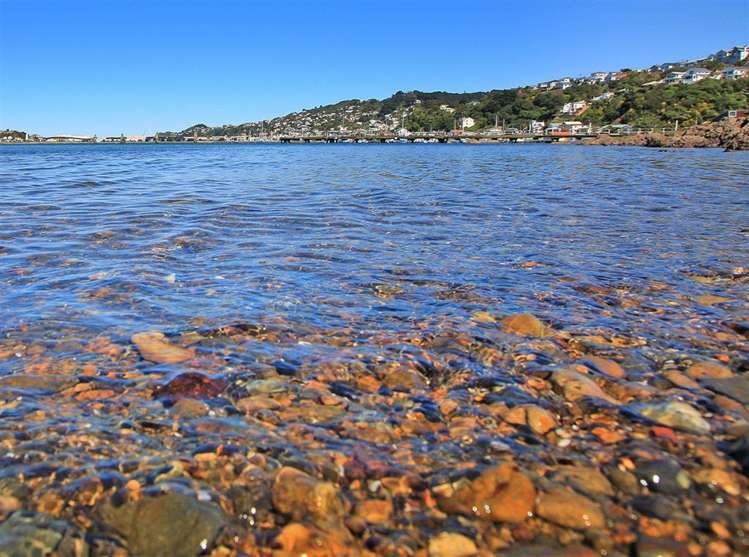 S503/326 Evans Bay Parade Hataitai_35